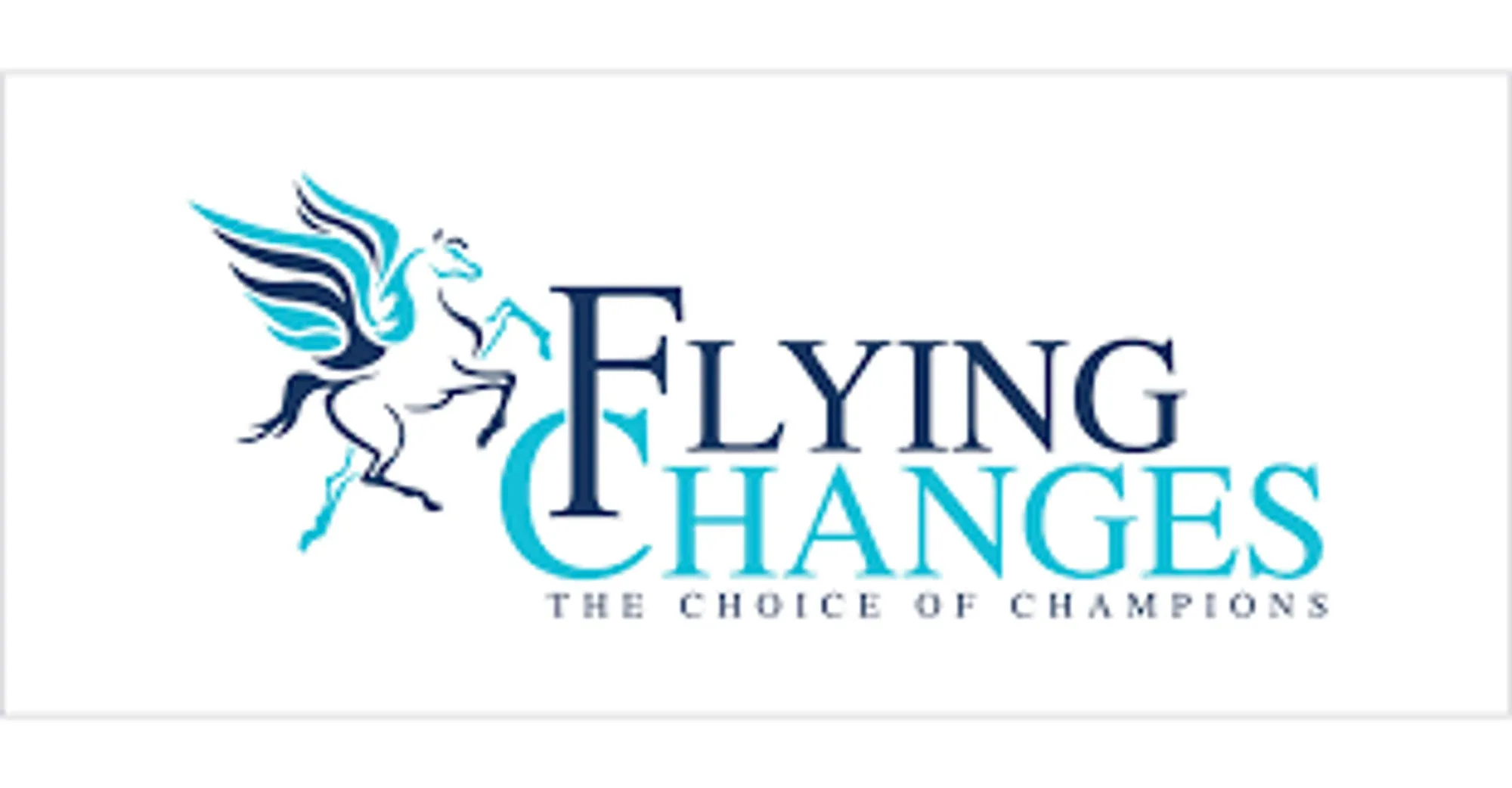 Flying Changes