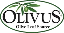 olivus.com