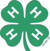 4 H