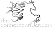 The Connected Rider