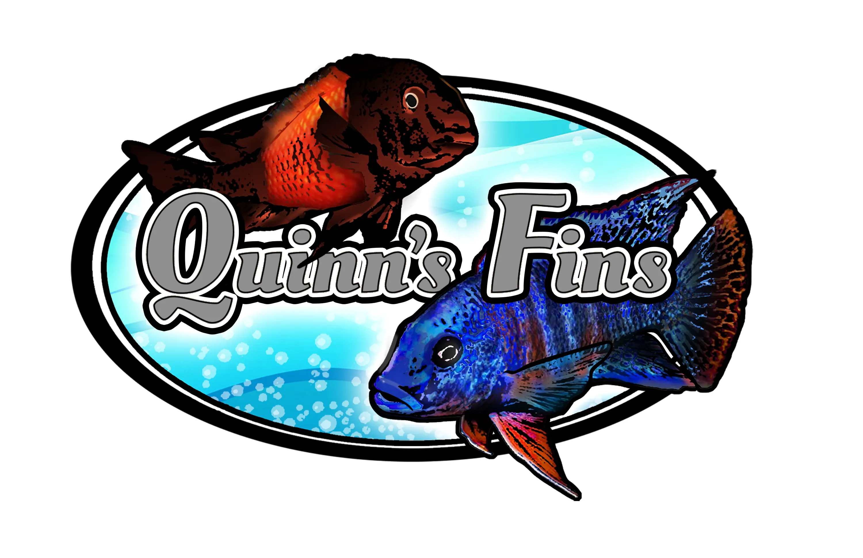 Quinns Fins