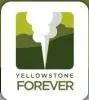 Yellowstone Forever