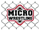 MICRO WRESTLING