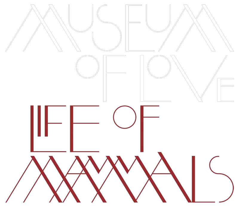 Museum Of Love