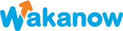 wakanow.com