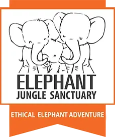 elephantjunglesanctuary.com