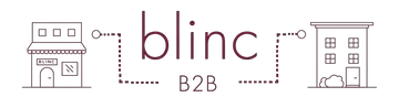 blincb2b.com