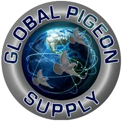 globalpigeonsupply.com