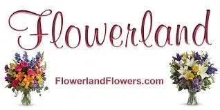 Flowerlandflowers