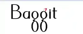 Baggit.com