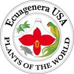 ecuageneraus.com