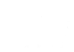 Electric Import Motors