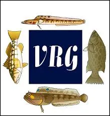 vrg