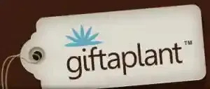 Giftaplant