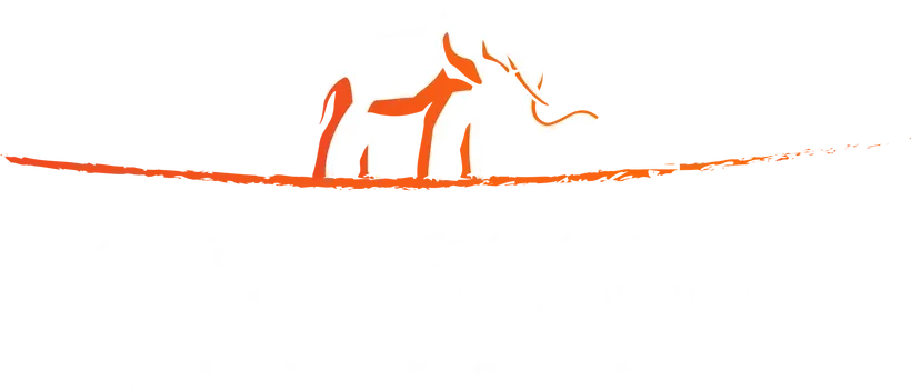 Elephantos