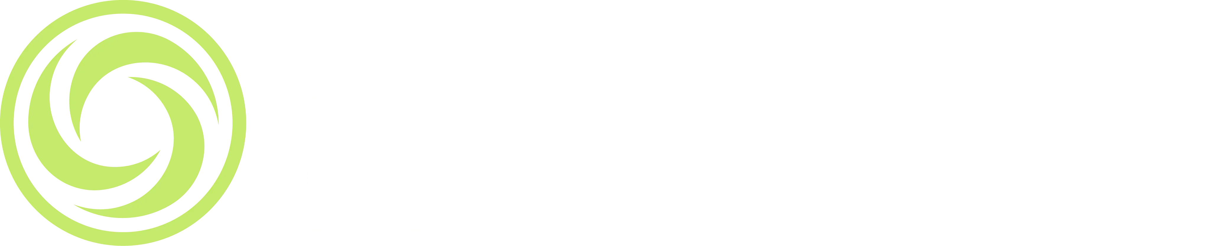 Spinwave Pickleball