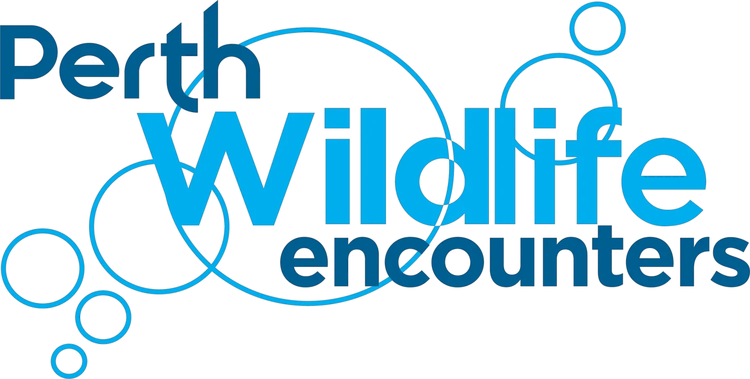 Rockingham Wild Encounters