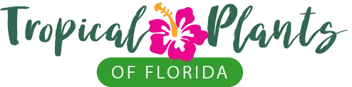 Tropical Plants Of Florida