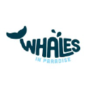 Whales In Paradise