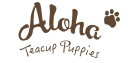 Aloha Teacup Puppies