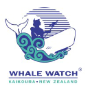 Whale Watch