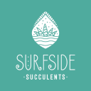 Surfside Succulents