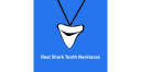 Real Shark Tooth Necklaces