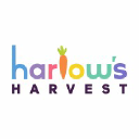 Harlow's Harvest