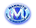 Mammoth Car Wash Alpharetta