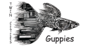 Twin Cities Guppies