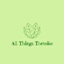 All Things Tortoise