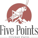 Five Points Cricket Farm