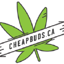 cheapbuds