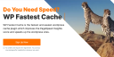 WP Fastest Cache