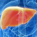 Fatty Liver Reverse Your Fatty Liver