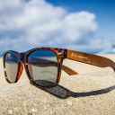 Woodwear Sunglasses