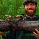 Cascadia Mushrooms