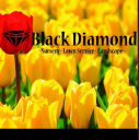 Black Diamond Perrysburg