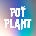 Pot Plant