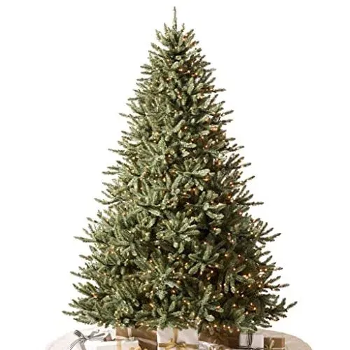 Balsam Hill Classic Blue Spruce