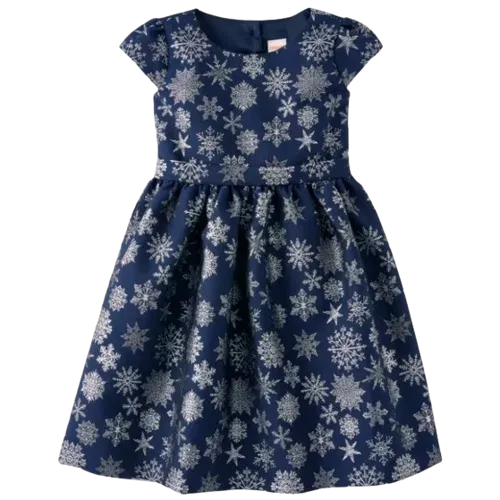 Gymboree Girls Snowflake Fit And Flare Dress