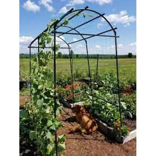 Gardener's Supply Titan Squash Tunnel