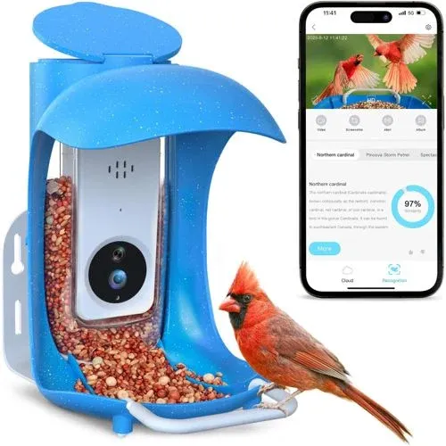 BirdDock Smart Bird Feeder