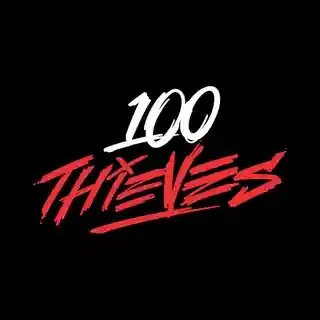 100 Thieves