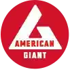 American Giant