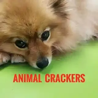 Animal Crackers