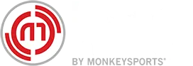 Baseball Monkey