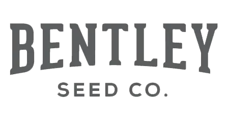 Bentley Seeds