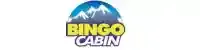 bingocabin.com