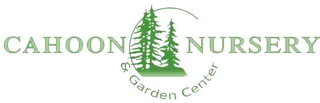 cahoonnurseryandgardencenter.com